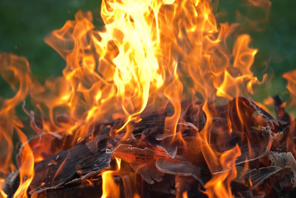 onfire-1.jpg