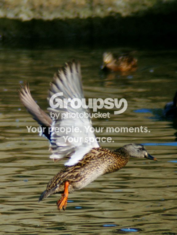 PICT0051e.jpg