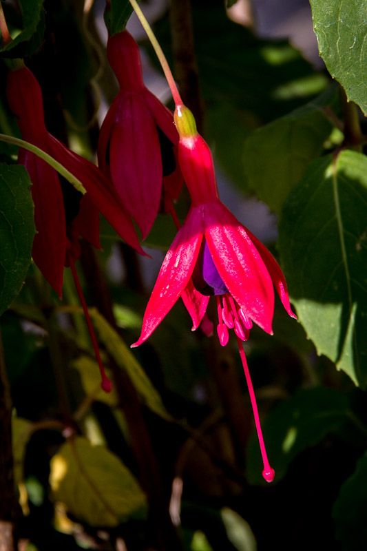 20120726-_MG_4380.jpg