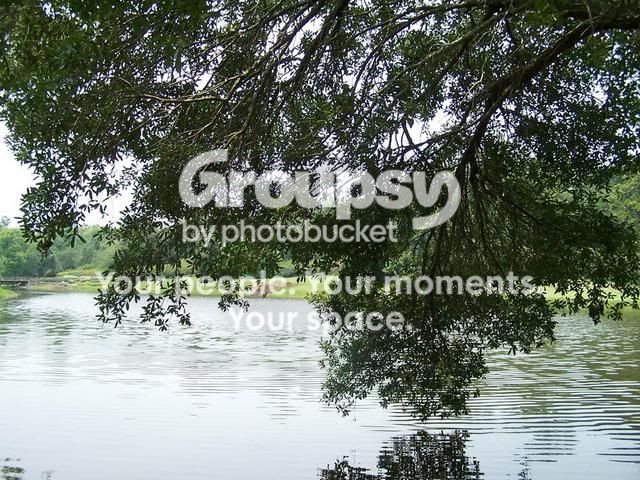 100_4779.jpg