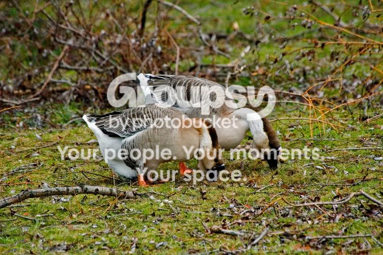 DSC_3367e0300websize.jpg