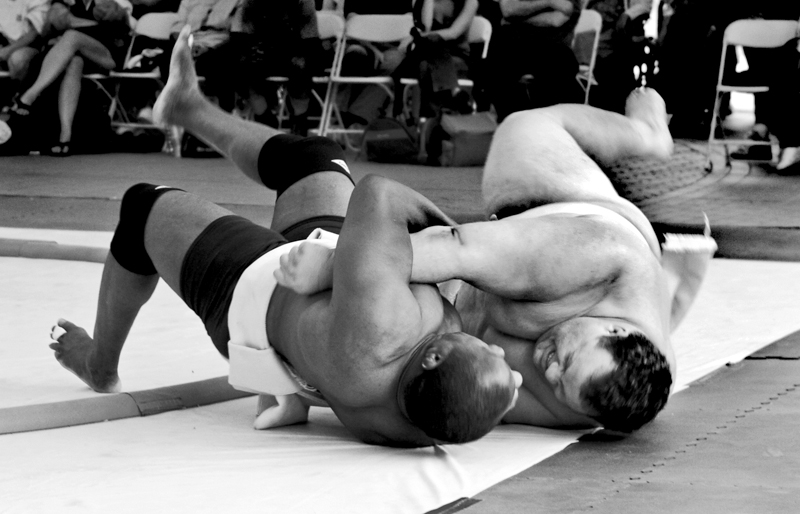 Sumo%206-L.jpg