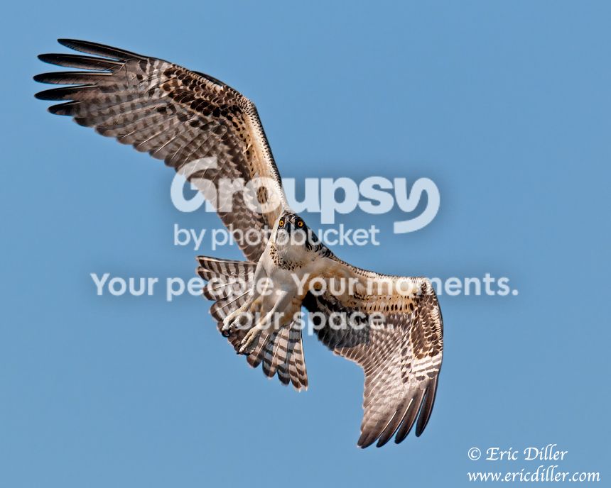 _ECD6810-copy860.jpg