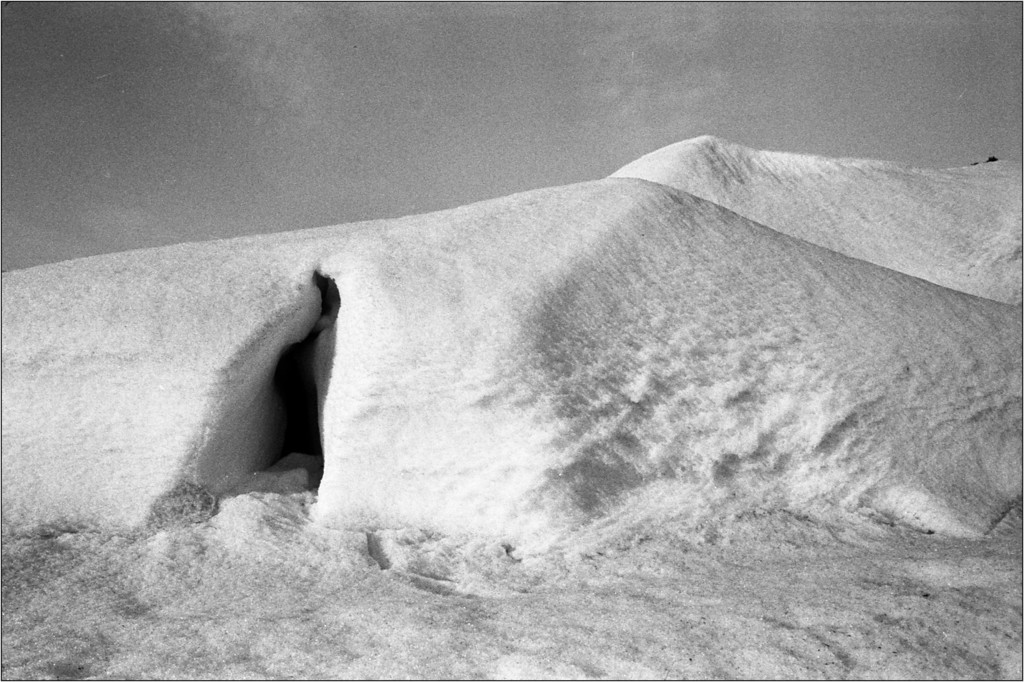 scan434-XL.jpg