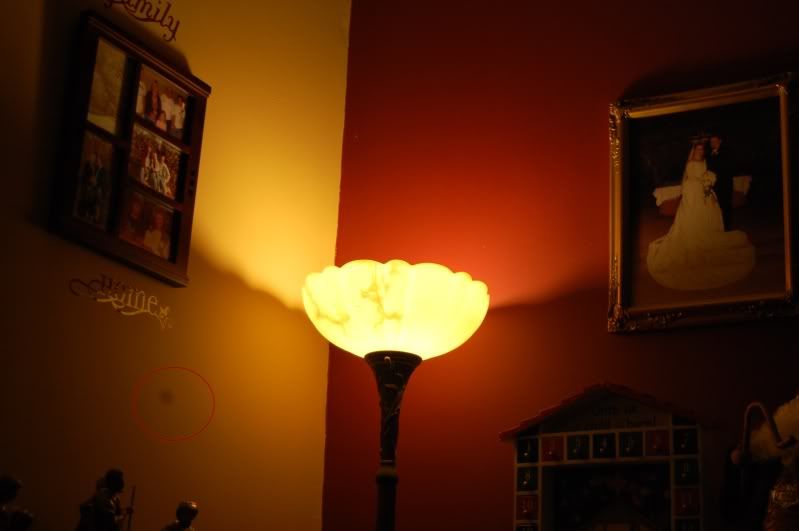 DSC_2297.jpg