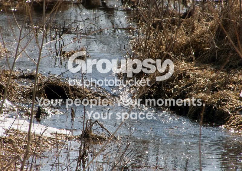 flooding2.jpg