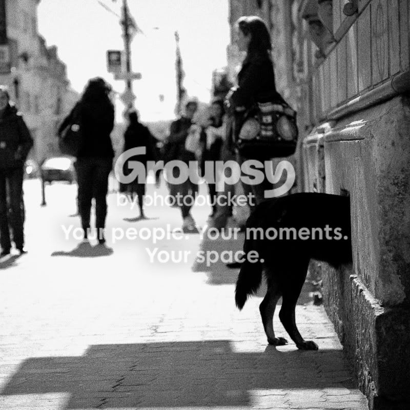 AColorlessLife24.jpg