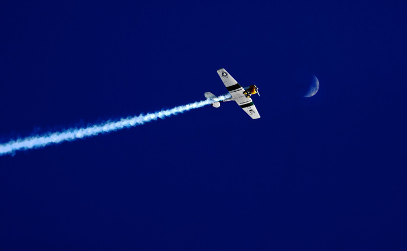 2CBL1666-L.jpg