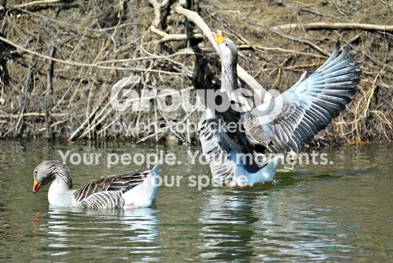DSC_0047.jpg