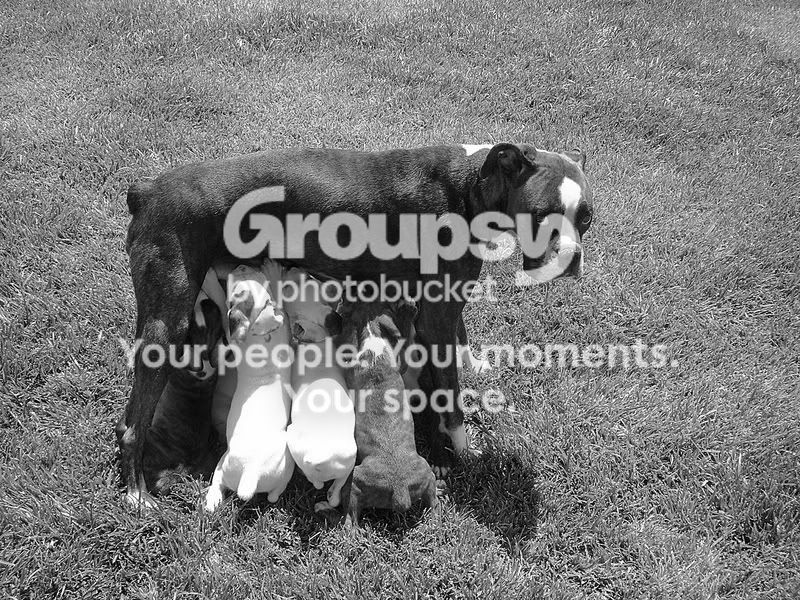 growth0060001.jpg