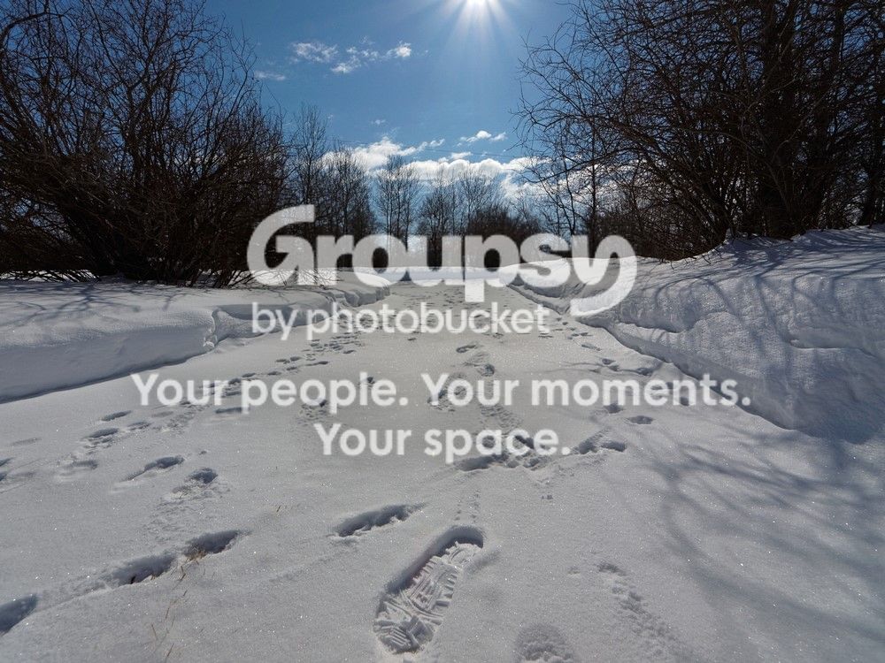 FootprintsinthesnowCustom_zps9e035cd4.jpg
