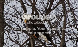 IMG_7365-2.jpg