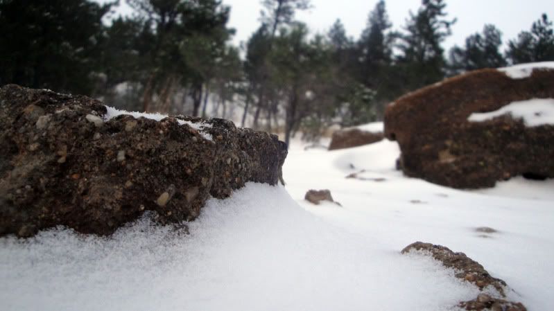 snowrocks.jpg
