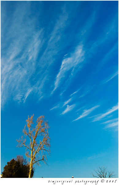 wispy01.jpg