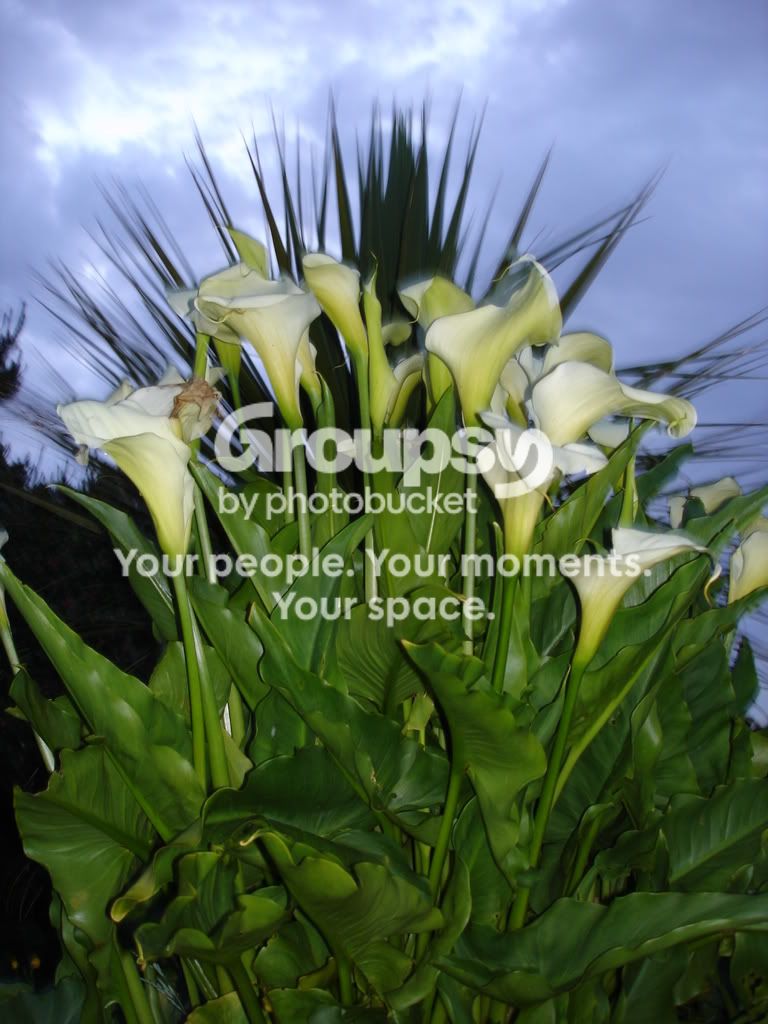 light011.jpg