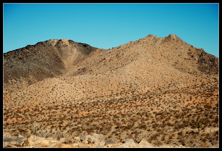 DSC_0080ppweb.png