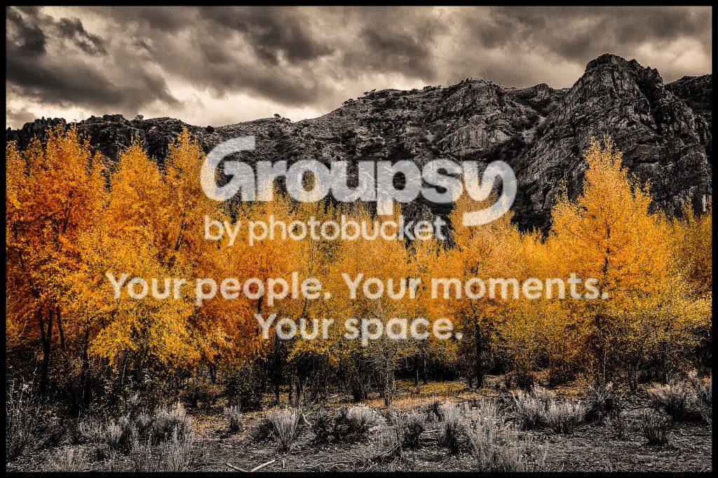 fall4-Edit-2.jpg