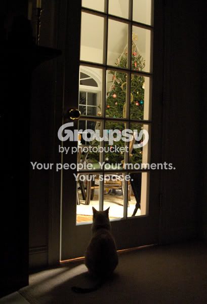 Window.jpg