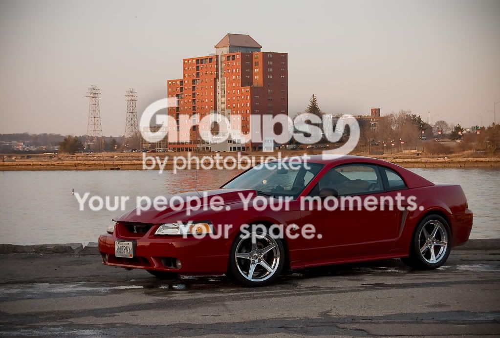 DSC_3995.jpg