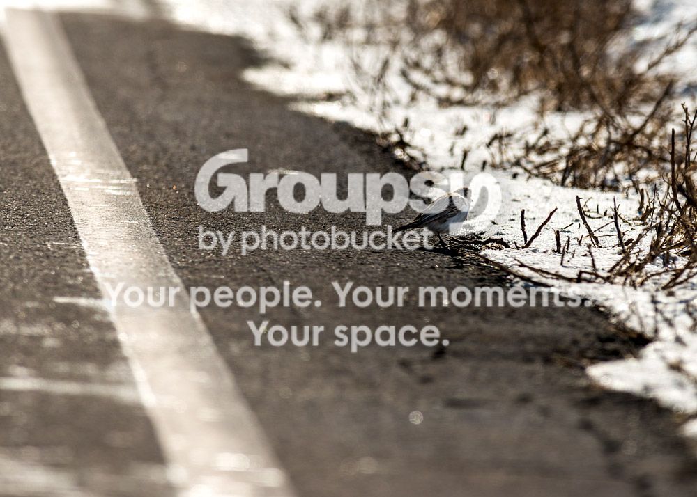 road_zps82c5f886.jpg