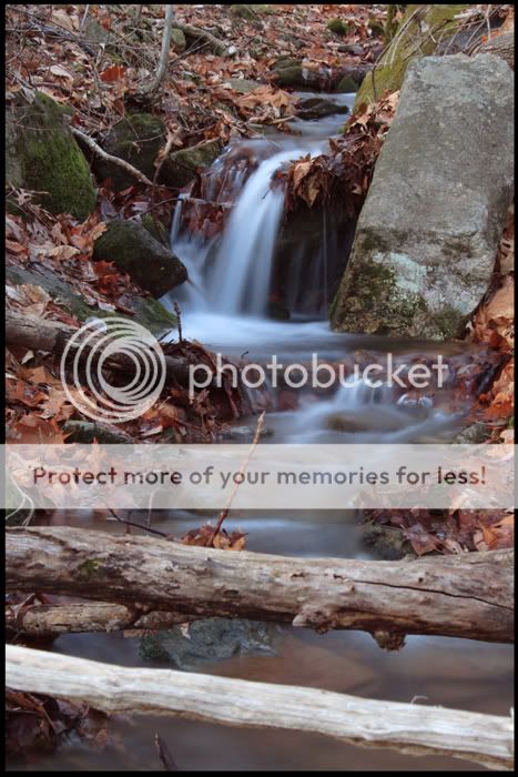 IMG_7424a700.jpg