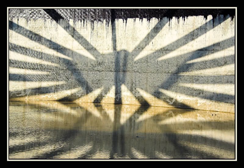 Thema_Shadows_04.jpg