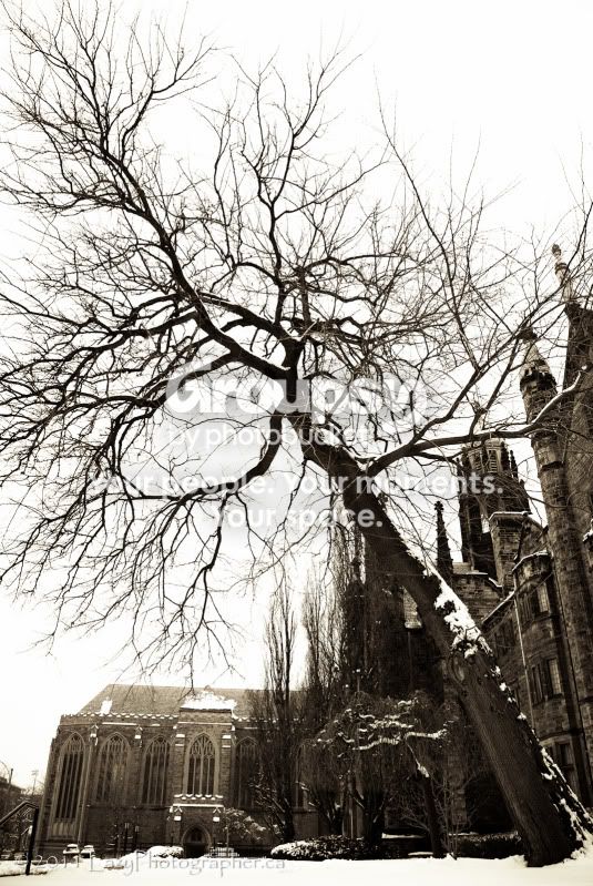IceSculptures-163-Edit-EDITED.jpg