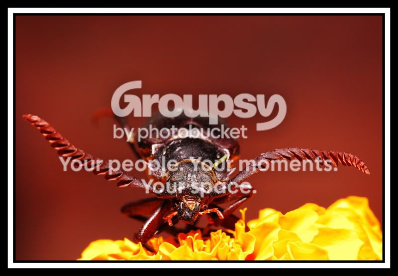 2008-08-09_3web.jpg