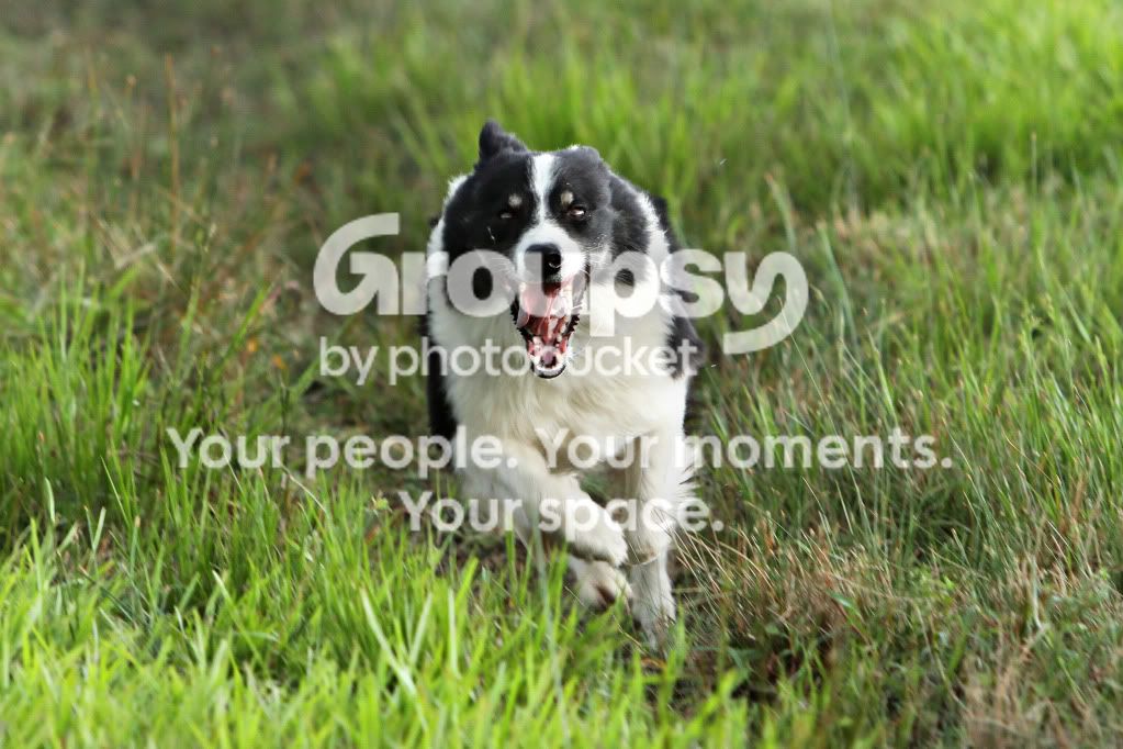 IMG_6504jh2.jpg