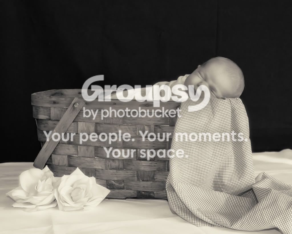 picnicbaskethighkey.jpg