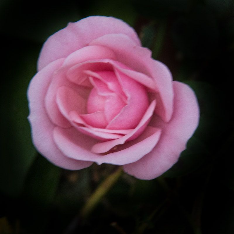 20120929-_MG_5261.jpg