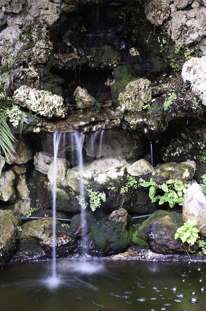 4364448653_a90e353b8c_b.jpg