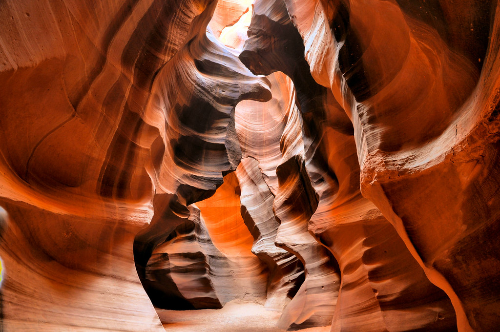 5112096531_cf78379b62_b.jpg