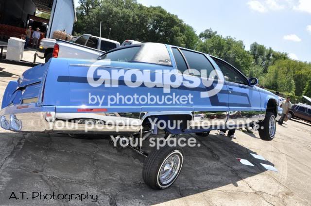 SwanginBigBody2.jpg