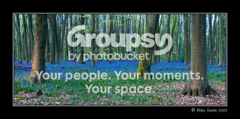 DSC_0009-Edit-800.jpg