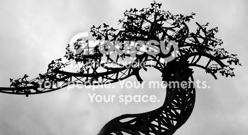 test.jpg