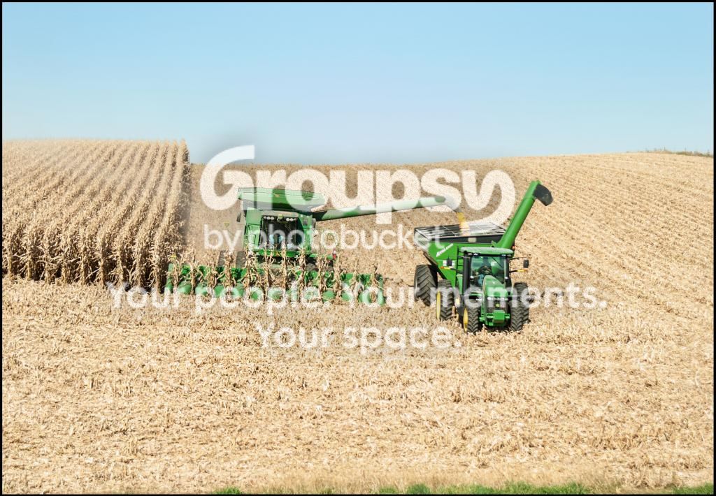 CornHarvest.jpg