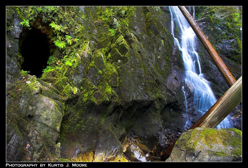 DSC_4655-01copy.jpg