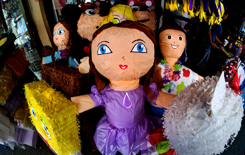 DSCF5815-L.jpg