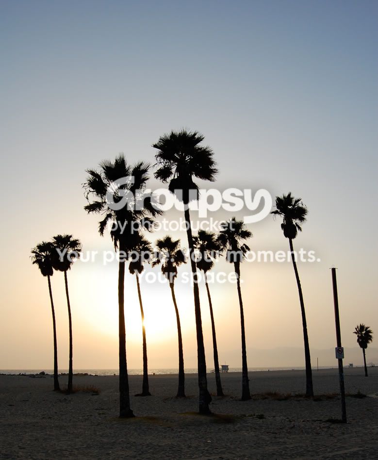 santamonicasunset.jpg