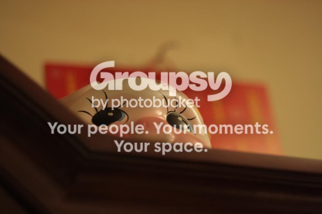 IMG_2785_zpsccb84cd0.jpg