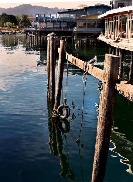 GRAA0025-L.jpg