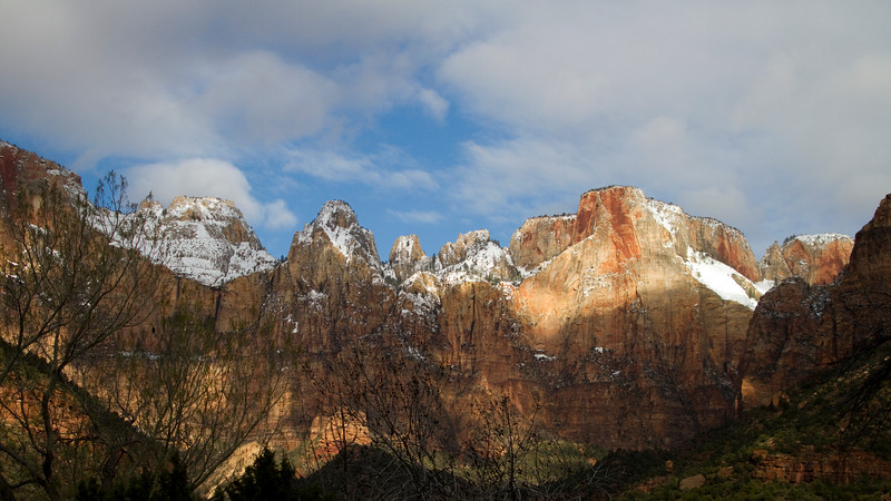 IMG5113-L.jpg