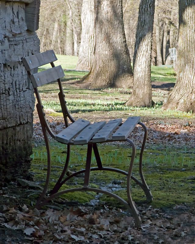 bench2.jpg
