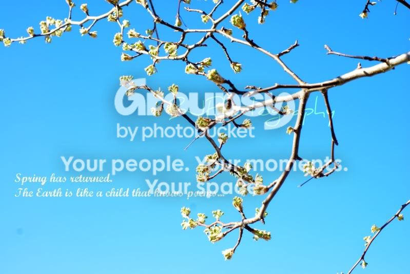 Spring.jpg