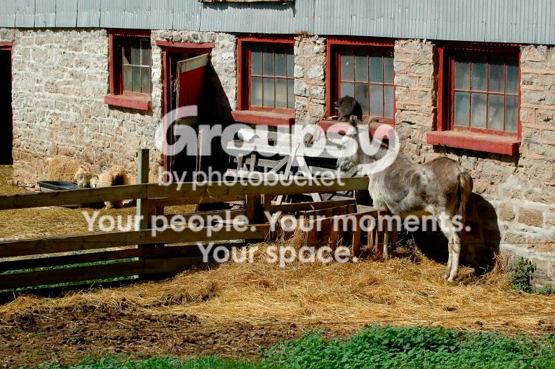 websize2005farm10.jpg