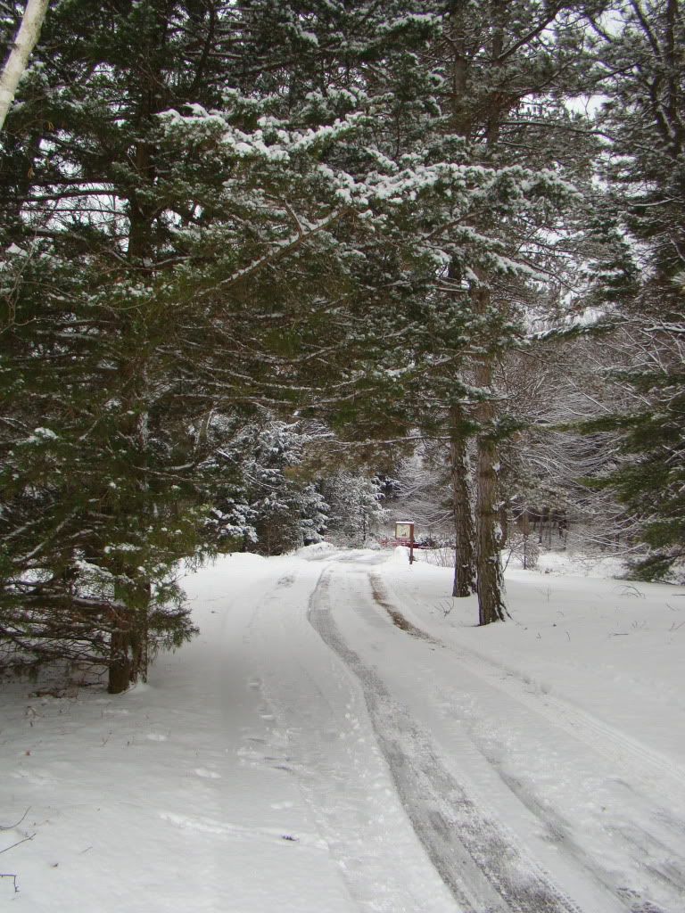 DSC09672.jpg