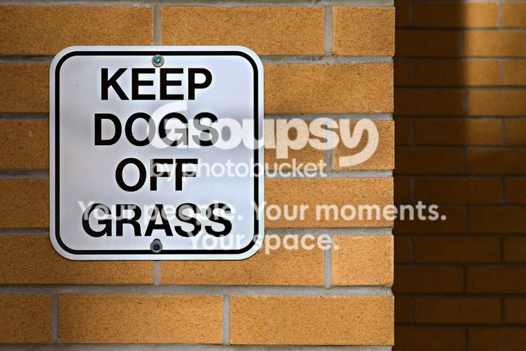 PSA.jpg