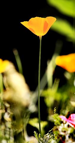 _MG_9090-L.jpg