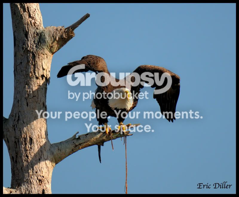 PIC_8216copy.jpg